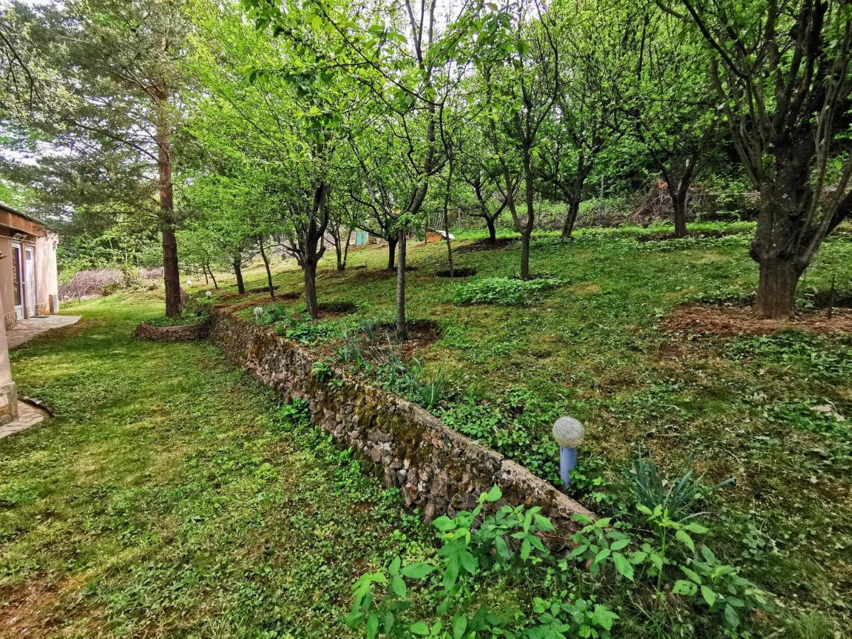 Villa Aqua Pravets Exteriör bild